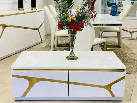 Table 2m+Table basse luxe image 3