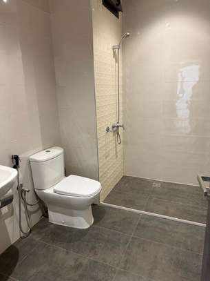 APPARTEMENT A LOUER SUR SALY image 6