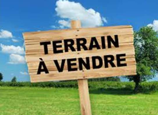TERRAIN A VENDRE image 1