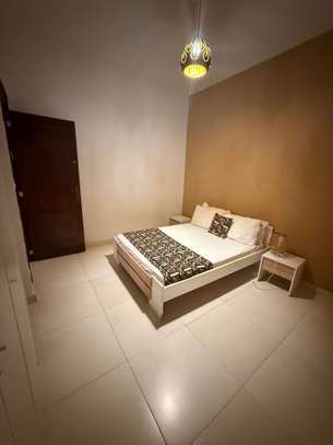 Appartement f3 meublé au point e image 6