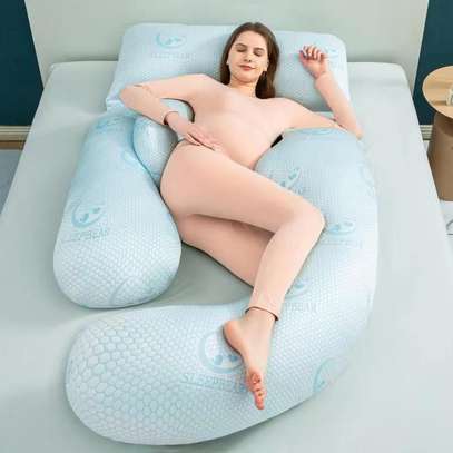 COUSSINS DE GROSSESES image 6