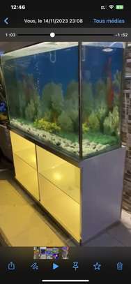 Superbe Aquarium de 280 Litres image 2