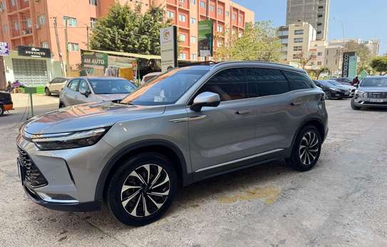 Seijino 2023 image 2