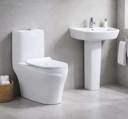 Sanitaires en vente image 3