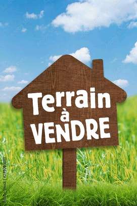 Terrain à vendre à la cite Mourtada Tf image 2