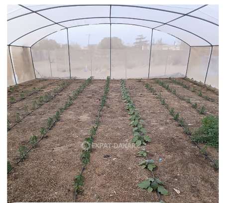 Serre agricole image 1
