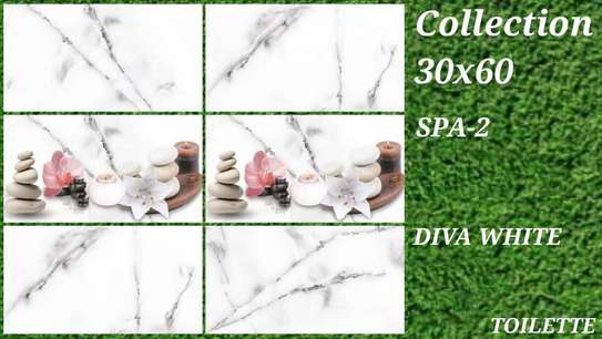 Carreaux Faïence 30X60 image 15