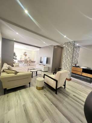 Plateau appartement 2 chambres salon meuble à louer image 4