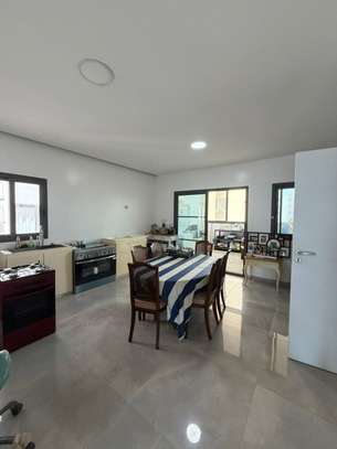 Magnifique Penthouse à louer image 14