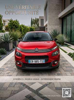 Citroen C3 Cactus image 8