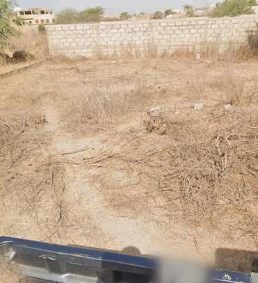 À vendre : deux terrains mitoyens à Sendou – 150 m² chacun image 2