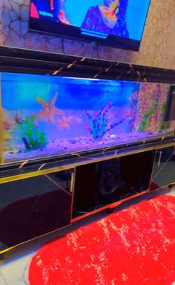 Très jolie et  grand Aquarium de 250 Litres et 1m50 de long image 5