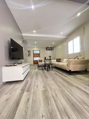 Plateau appartement 2 chambres salon meuble à louer image 1