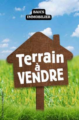 Terrain à vendre à la cite Mourtada Tf image 3