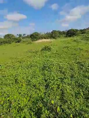 CHAMP DE +43.000 M2 BAYAKH image 8