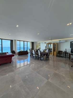 Magnifique Penthouse à louer image 5