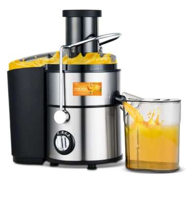 Extracteur de Jus image 1