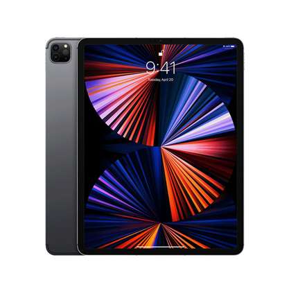 iPad Pro 11 pouces (3e génération) wifi 512 Gigas image 3