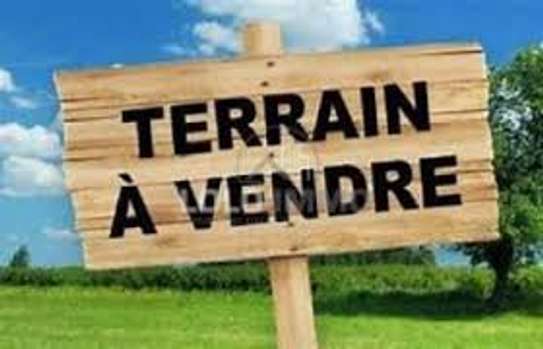 Terrain a vendre a Keur Mbaye Fall image 1