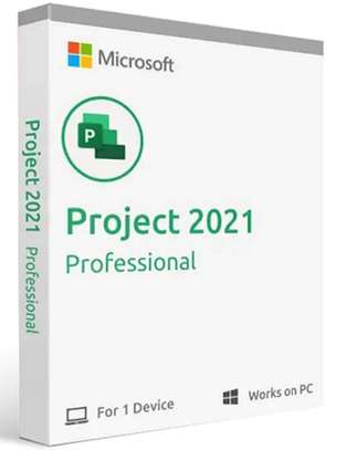 MS PROJECT 2021 PRO image 1
