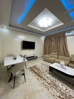 APPART MEUBLE 2CH+SALON image 4