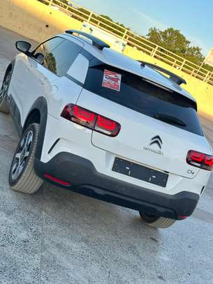 Citroen  C4 Cactus Modèle 2019 image 14