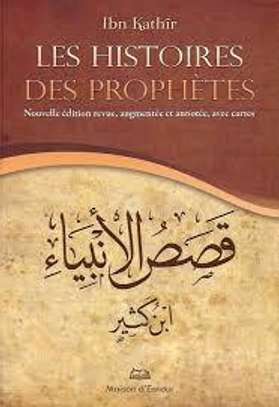 Enseignement islamique et coranique image 2