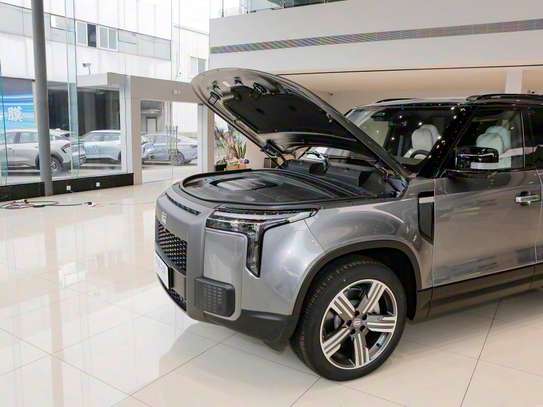 ROX 01  SUV premium 6 ou 7 places essence+élec autonomie XL image 4