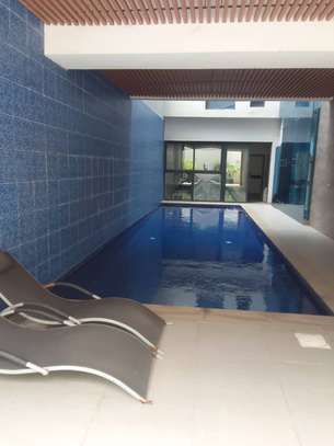 Appartement meublé à louer derrière la banque mondiale image 8