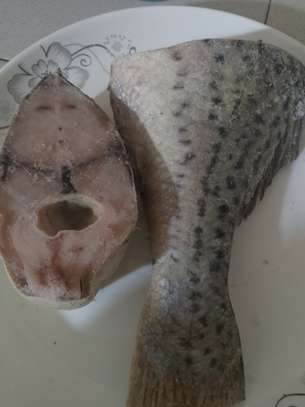 10 kg seud TG, sompate TG, beurre TG, todjé, image 7