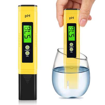 PH metre électronique image 2