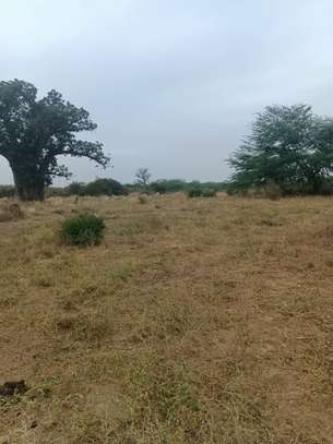 21 hectares à vendre à sindia entre Nguekhokh et Ngerigne image 7