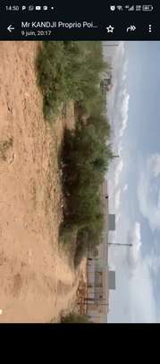 4500 m² à vendre à Saly center à Mbour sur la petite côte image 2