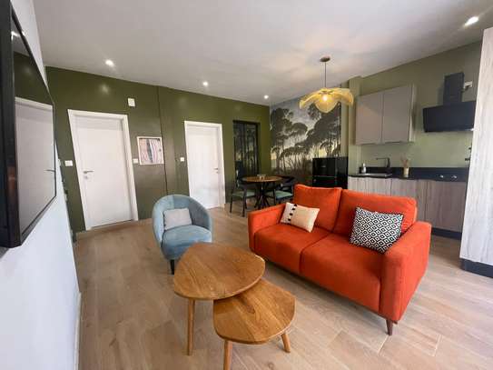 Magnifique et cosy F2 meublé image 2