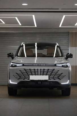 BAIC (Beijing) X7 image 1