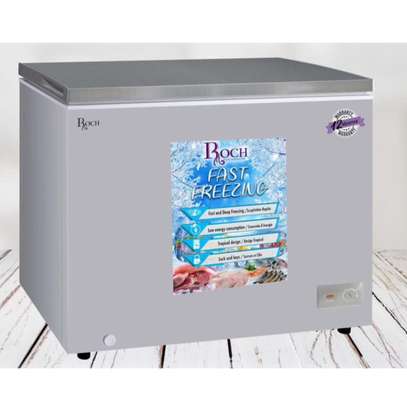 CONGELATEUR ROCH 300LITRES HORIZONTAL SILVER image 1