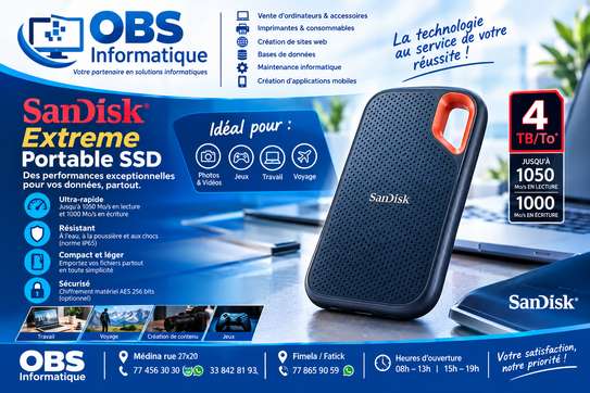 Disque externe Sandisk 4tb image 2