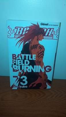 Bleach image 1