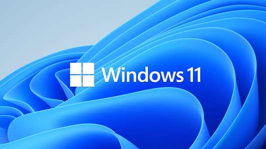 Windows 11 Pro Authentic image 1
