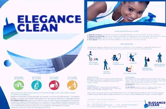 Elegance Clean image 2