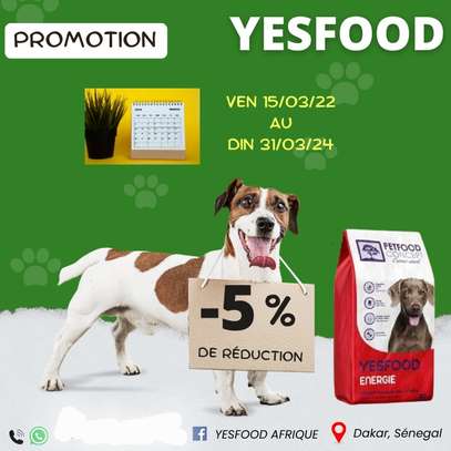 PROMO -5% REDUCTION 🔥CROQUETTES YESFOOD image 1
