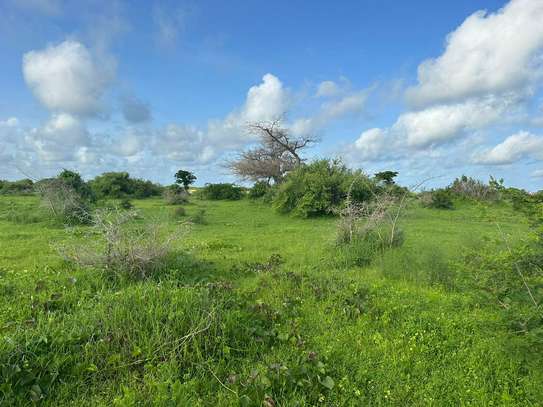 Verger à vendre Palmarin à Facao image 3