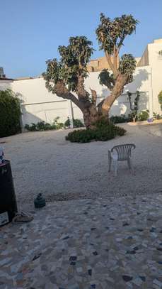 Villa basse de 1000 m² à louer à Dieupeul 1 image 5