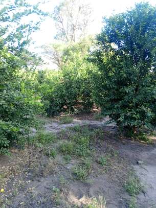 Ferme agricole à vendre à Darou koudoss image 6