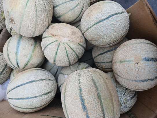 Fruit image 12