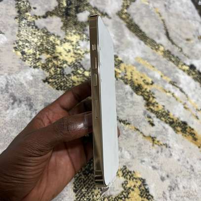 iPhone 13 Pro 256G image 4