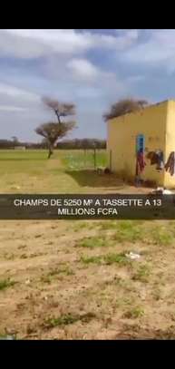 Champs de 5.500m² à Tassette à vendre image 13