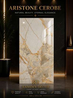 Ramdev Décor Aristone Cerobe 60x120 cm haute brillance image 1
