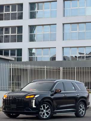 Hyundai palissade image 1