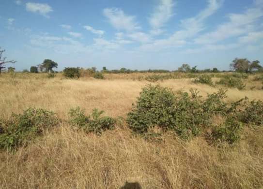 Terrain 2,5 hectares à vendre, Mbour près du RN1 image 5